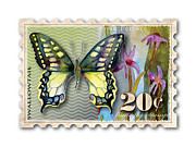 20 Cent Butterfly Stamp Painting by Amy Kirkpatrick 20 Cent Butterfly Stamp Painting by Amy Kirkpatrick