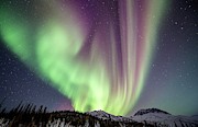 Aurora Borealis In Alaska #21 Photograph by Science Photo Library