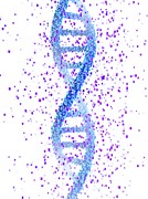Dna Molecule #22 Photograph by Science Photo Library