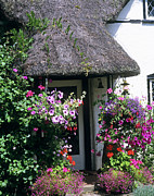 Flowers Outside A Cottage #3 Photograph by Science Photo Library