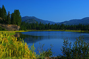 Kettle River #3 Photograph by Loni Collins
