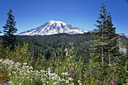Mount Ranier #3 Photograph by Ronald Lutz