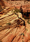 Sedimentary Cliff Strata #3 Photograph by Science Photo Library