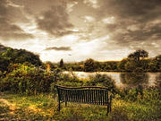 Solitaire #3 Photograph by Jessica Jenney