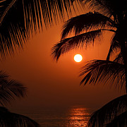 Sunset #4 Photograph by Natasha Marco