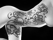 3682 BW Nude with Black Rose Tattoo  Photograph by Chris Maher
