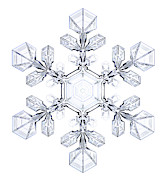Snowflake #38 Photograph by Science Photo Library