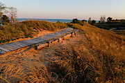 Boardwalk #4 Photograph by Jeffrey Phelps Boardwalk #4 Photograph by Jeffrey Phelps