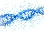 Dna Molecule #4 Photograph by Science Photo Library