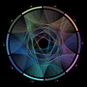 Flow of life flow of pi #4 Digital Art by Cristian Ilies Vasile