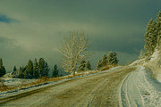 Winter #4 Photograph by Loni Collins