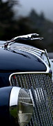 Classic Ford Detail #3 Photograph by Dean Ferreira Classic Ford Detail #3 Photograph by Dean Ferreira