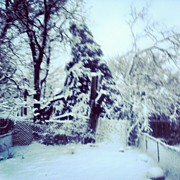 Instagram Photo #471371006433 Photograph by Genevieve Esson