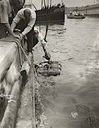 Harry Houdini (1874-1926) #5 Photograph by Granger