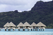 Overwater Bungalows in Bora Bora Photograph by Mel Ashar