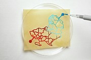 Paper Lab-on-a-chip #5 Photograph by Science Photo Library
