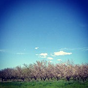 Instagram Photo #521362779914 Photograph by Meredith Leah