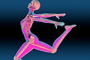 Dancer's Skeleton #6 Photograph by Science Photo Library