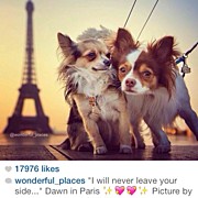 Instagram Photo #671391668274 Photograph by Meredith Leah