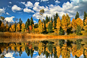 Fall Refelctions #7 Photograph by Mark Smith