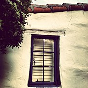 Instagram Photo #791366408362 Photograph by Gwyn Newcombe