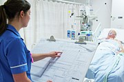 Intensive Care Patient #8 Photograph by Science Photo Library