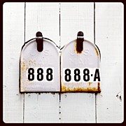 888 Photograph by Julie Gebhardt