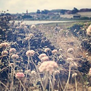 Instagram Photo #901370718080 Photograph by Meredith Leah