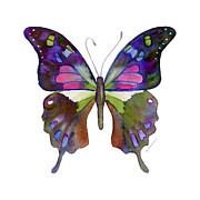 98 Graphium Weiskei Butterfly Painting by Amy Kirkpatrick