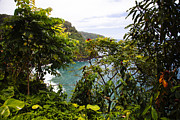 A Beautiful View Photograph by Laura Tucker