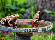 A Childhood Reflection Photograph by Lucy VanSwearingen