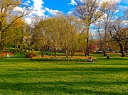 A Day in the Park Photograph by Chris Montcalmo