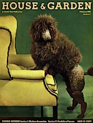 A House And Garden Cover Of A Poodle Photograph by Anton Bruehl