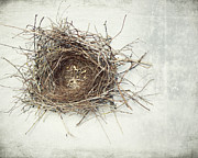 A Little Home Photograph by Lupen Grainne