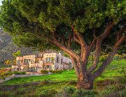 A Man's Home Is His Castle Photograph by Mathias 
