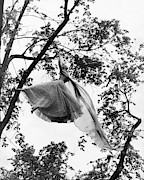 A Model Wearing A Dress In A Tree Photograph by Gene Moore