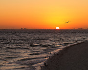 A New Day - Sanibel Island Photograph by Kim Hojnacki