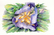 A New Perspective Painting by Catherine Bede
