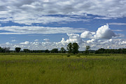 A Pillow Of Winds Photograph by Dan Hefle