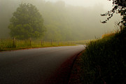 A Quiet Morning Photograph by Michael Eingle