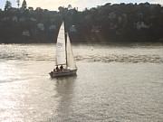 A scenery of Tiburon Photograph by Hiroko Sakai