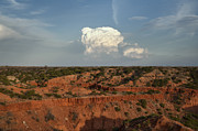 A Single Cloud Photograph by Melany Sarafis