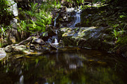 A Small Cooling Off? Photograph by Andreas Levi