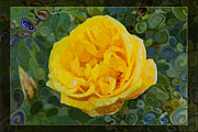 A Yellow Rose Abstract Painting Painting by Omaste Witkowski