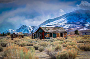Abandoned 1b East Sierra Mountains Photograph by Carla E