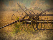 Abandoned Photograph by Dave Bosse