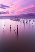 Abandoned Photograph by Jorge Maia