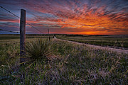 Ablaze Photograph by Thomas Zimmerman