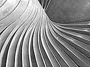 Abstract - Spiral Grain Photograph by Richard Reeve