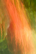 Abstract 16 Photograph by Steve DaPonte